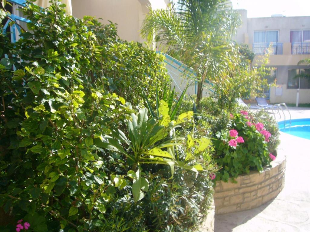 Апартаменты Blue Oasis Gardens Лимасол Экстерьер фото